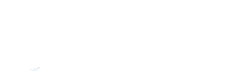 Arctic Wolf