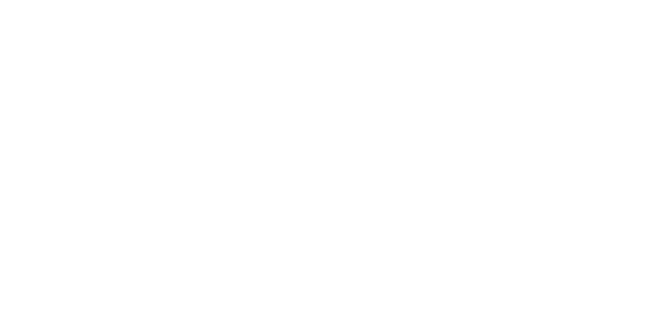 Wiz